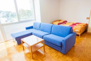 Apartments and Studios Perunika - 3