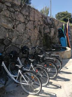 Quinta das Pedras Novas - Covas - 4