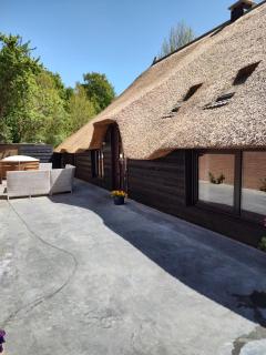 Juweeltje van vakantiewoning op prachtig landgoed - Nieuwleusen - 9