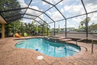 Splashing Dolphins - Palm Coast - 0
