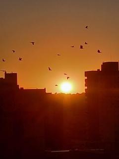 Lindisimo depto centro Bahía - Bahía Blanca - 8