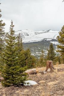 NEW RENTAL - Cozy Cabin with Stunning Views - Crimson Cabin - Fairplay - 6