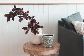 Joy Apartment 4 - Lorne - 2