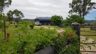 The Wattle Lodge - Glendon Brook - 9