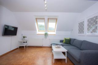 Duplex Apartment Panj Kranjska Gora - Kranjska Gora - 2