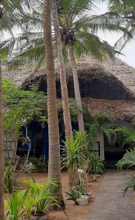 Salus house - 9