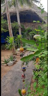 Salus house - 7