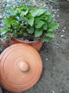 Hotel 5 Mountains - 3