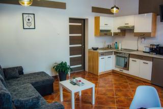 Rakoczi apartman 2 - Odorheiu Secuiesc - 3