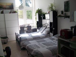 Charmant STUDIO au Calme Tout Confort Dans Château Néo Gothique proche ZENITH COMET ORLEANS Parking Voiture Gratuit WIFI Haut Débit Rue des Montées - Orléans - 6