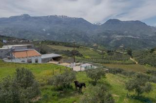 Tranditional Stone House - Agios Myronas - 1