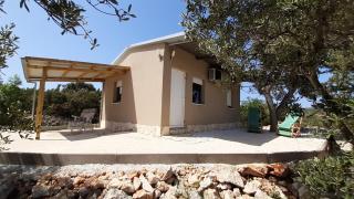 Apartman Olive grove - Rogoznica - 0