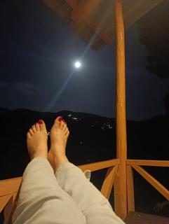 Golden valley cottages, Chail - Chail - 1