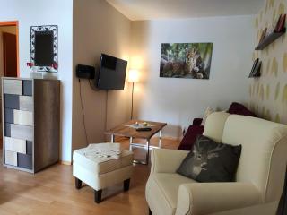 Ferienwohnung Harzluchs mit Balkon, Netflix und Sauna im Haus - Hohegeiß - 2