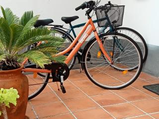 Scenic Comfort - Ponta Delgada - 6