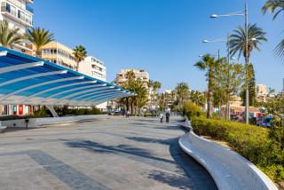 Gala Centro Castilla - Torrevieja - 3