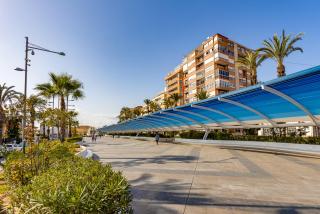 Gala Centro Castilla - Torrevieja - 2