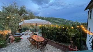 Foglie d'Argento - 3