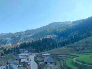 Hotel Cozy Haven - Mandi - 8