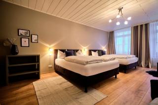 Hotel Roter Hahn - Ratisbona - 9