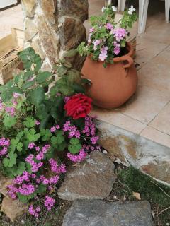 Villa Lysa - La Garde - 1
