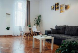 Rakoczi apartman 2 - Odorheiu Secuiesc - 6