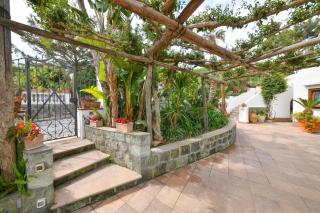Villa Letizia - Ischia - 7