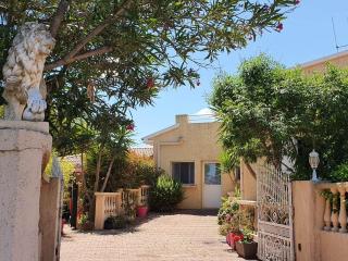 Villa les palmiers -Stretta di i mandarini - Lucciana - 8