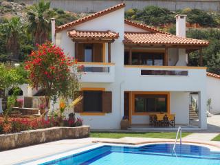 Villa Lemonia - Malia - 8