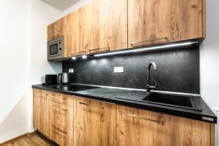 PLESSBERG Apartments Plešivec - Abertamy - 3