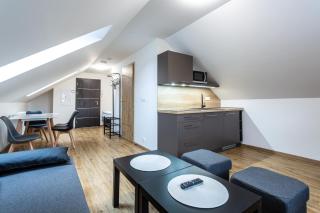 PLESSBERG Apartments Plešivec - Abertamy - 5