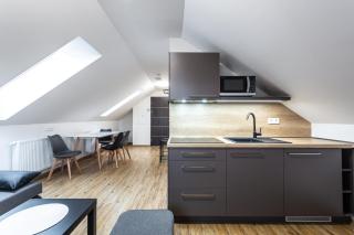 PLESSBERG Apartments Plešivec - Abertamy - 7
