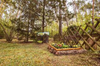 Domek letniskowy Keja - Skorochów - 1