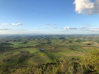 Casa Barcaia Montalcino - Montalcino - 4