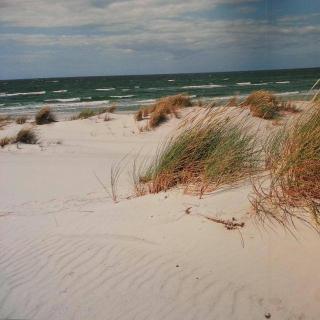 Fewo Abendrot - Insel Poel - 4