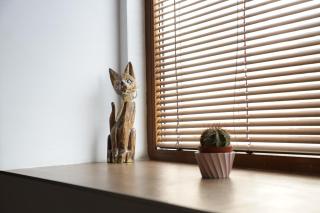 Guest house Dimant - Boergas - 4