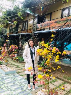 Phong Nha Bolero Bungalow - Phong Nha - 3