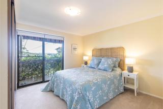 Tanilba 23 Flannel Flower Fairway meaning White Flower - 2