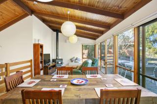 Apollo Bay People N Paws - 9