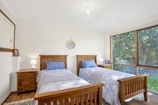 Apollo Bay People N Paws - 1