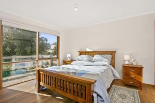 Apollo Bay People N Paws - 2