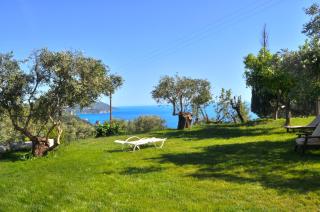House Lemoni, Apartment A with Terracebalcony - Pelekas, Corfu - Pelekas - 9