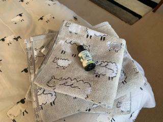 Counting Sheep - Great Longstone - 3