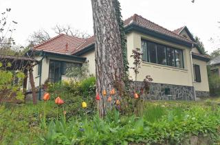 Edit Villa - Matrafured - 8