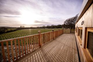 Oastbrook Glamping - 2