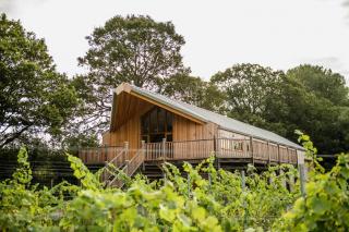Oastbrook Glamping - Bodiam - 1