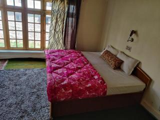 Yountan guest house - Leh - 6