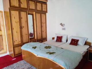 Yountan guest house - Leh - 1