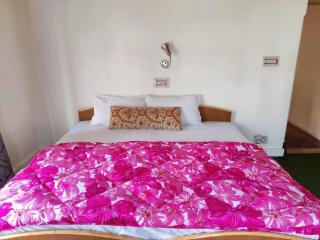 Yountan guest house - Leh - 9