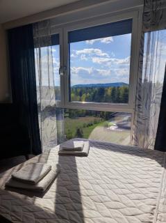 Apartman Ambijent Divcibare - Divčibare - 1